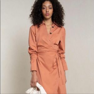 A.L.C. Orange Calvin dress